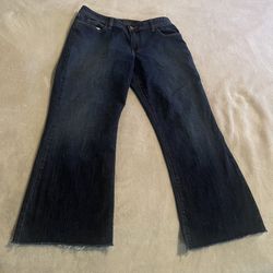 Vintage Eddie Bauer Jeans Women 12L Blue Shaped Bootcut Western Outdoors (33x28)