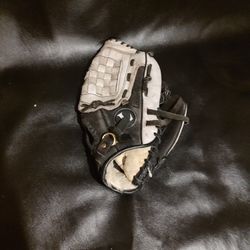 Baseball Glove