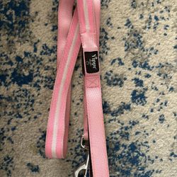 Dog Leashes, Collar, Harness 