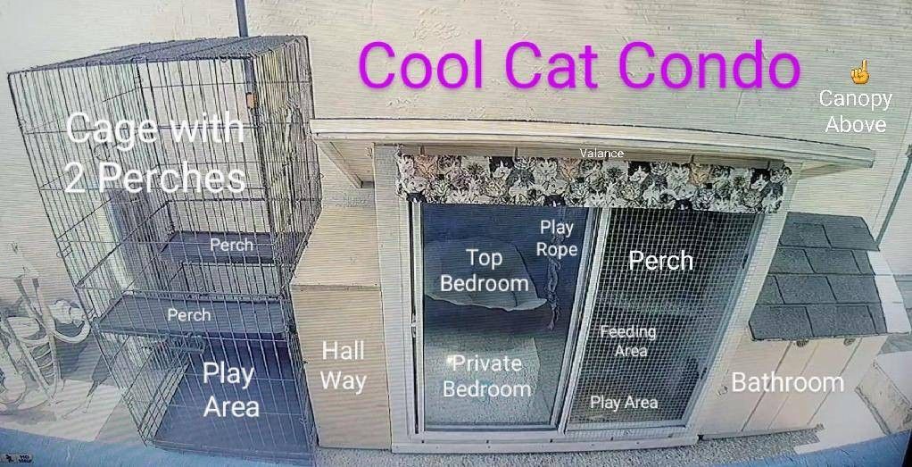 Custom Feral Cat House - Outdoor Tri-Level Luxury Cat Condo