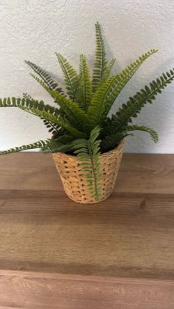 Basket with fern