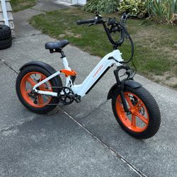Puckipuppy Electric Bike. 