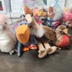 Beanie Babies Retired Birds
