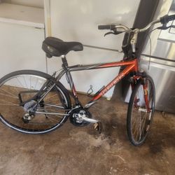 Trek Bicycle 