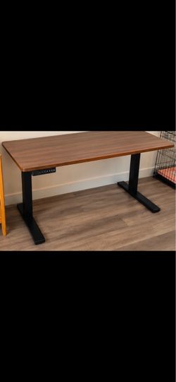Electric Standing Desk with Walnut Top