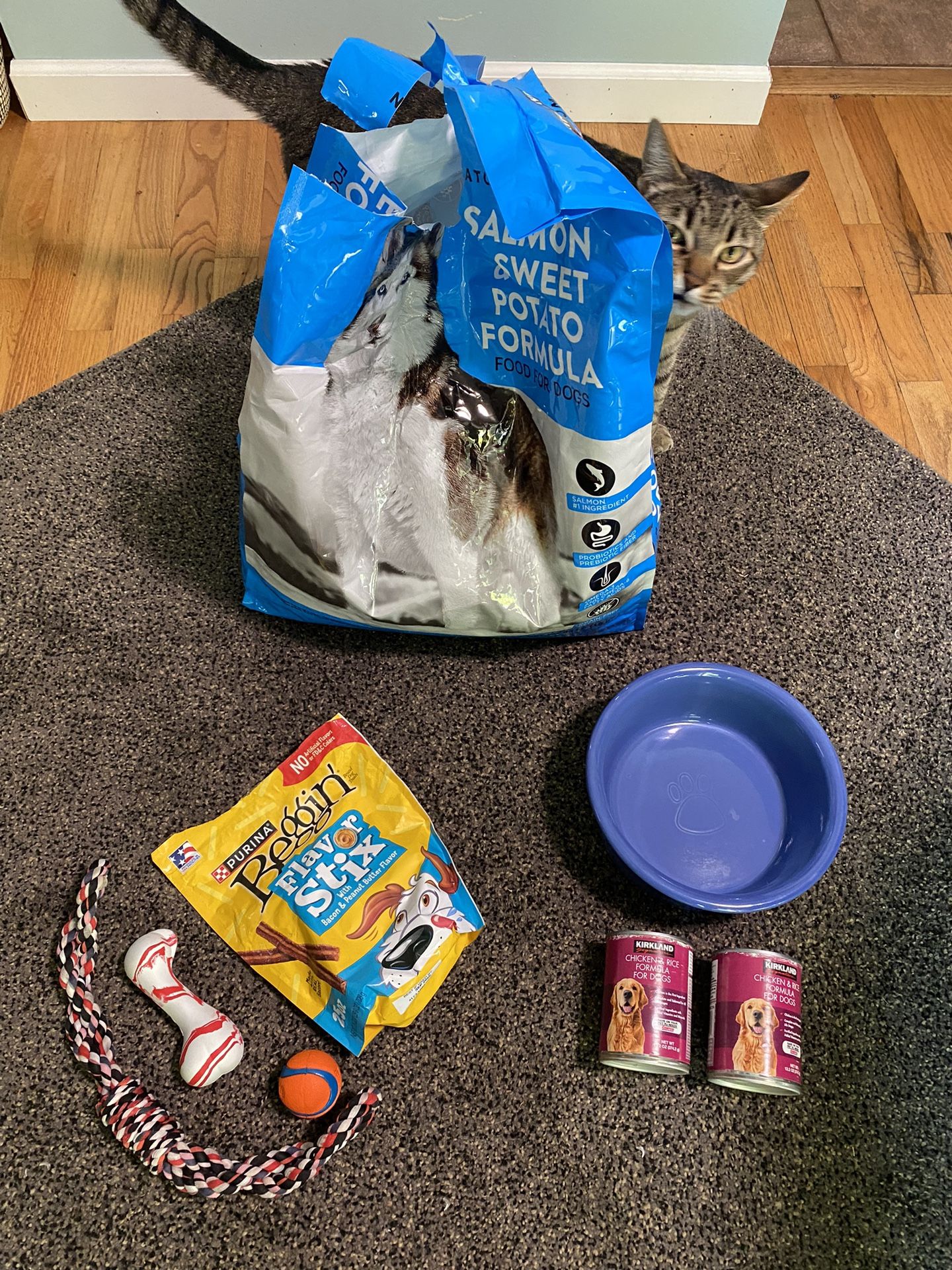 Dog Food, Bowl, Treats, & Toys