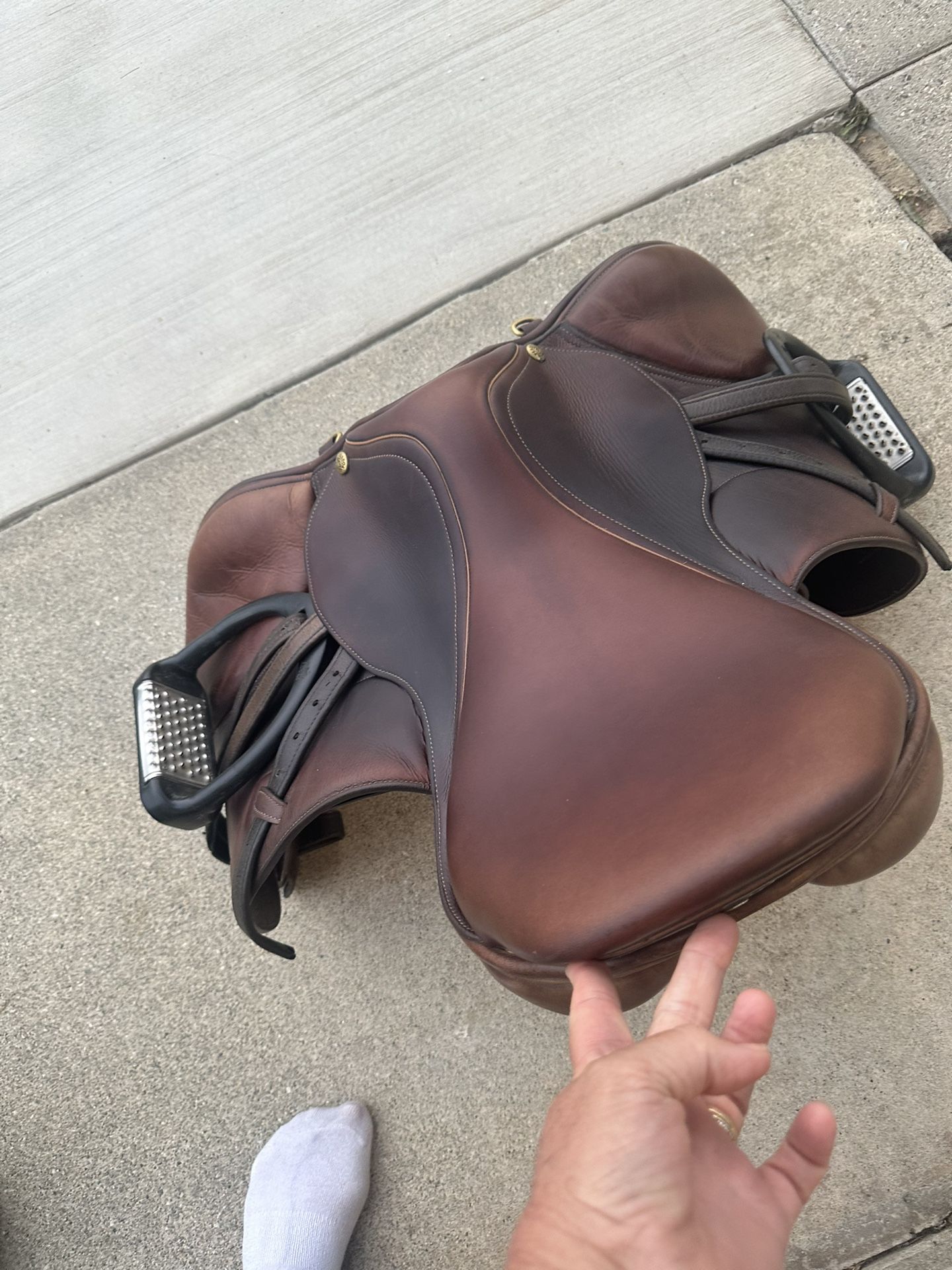 HORSE- Saddle