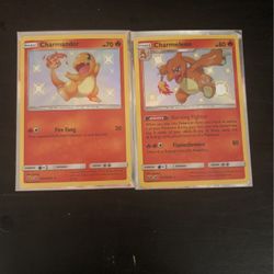 Shiny Charmander & Charmeleon 