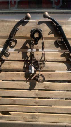 Mini Horse Leather Heads tall W Lead 