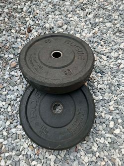 Rogue Bumper Weights