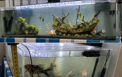 72x18x20 Acrylic Aquarium