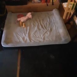 XL Dog Bed
