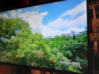 Vizio 40" flat screen tv 📺