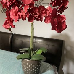 Red Flowers Decoration