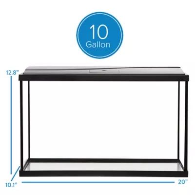 10 Gallon Aquarium 