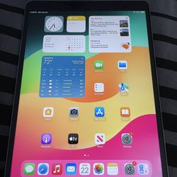 iPad Pro (10.5 Inch)