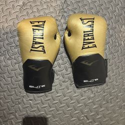 Everlast Elite Boxing Gloves