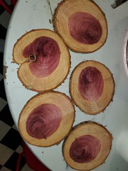 Cedar Coasters
