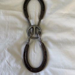 Vintage metal Horseshoe ring pussle