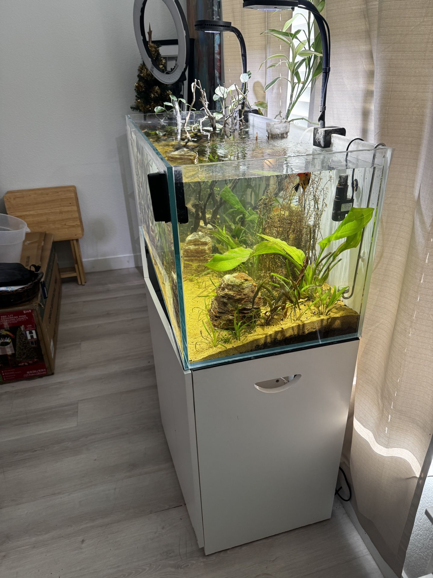 72.2 Gallon Landen Aquarium | Stand | FX4