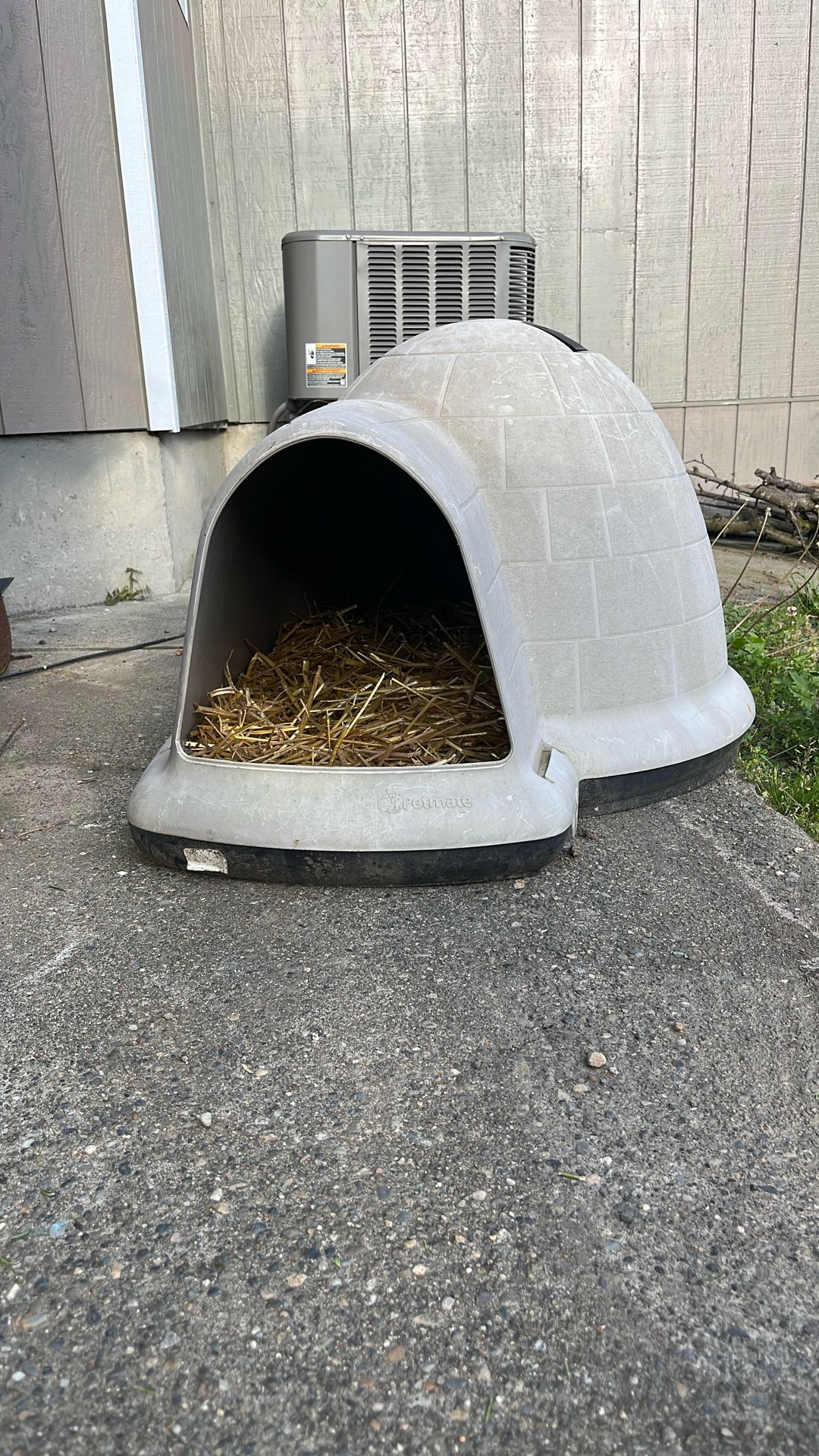 Dog House