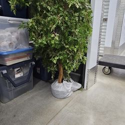 Handmade Ficus 4 Feet Tall.  Plant Only