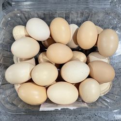 Organic eggs