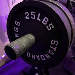 Weight Plates - 25lbs pair