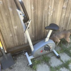 Sunny Exercise Bike Machine