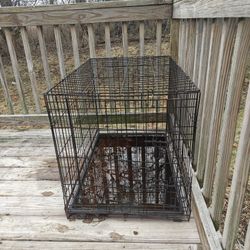 XL Dog Crate With Tray 