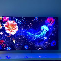 Lg Oled 65 “