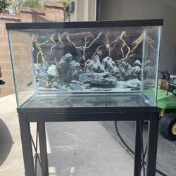 Fish Tank Aquarium