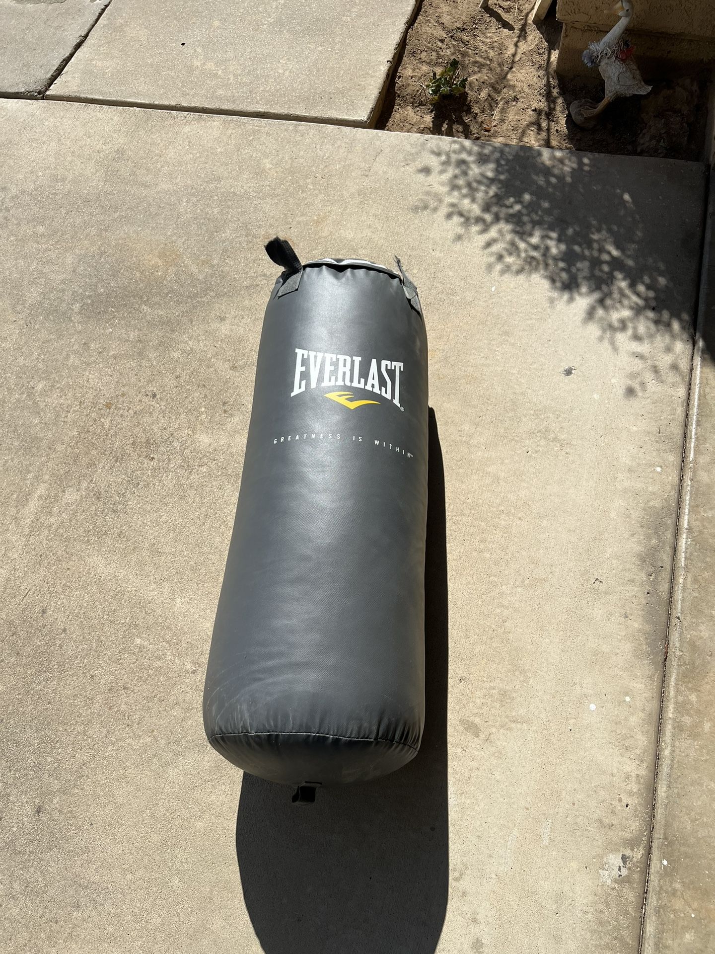 Punching Bag