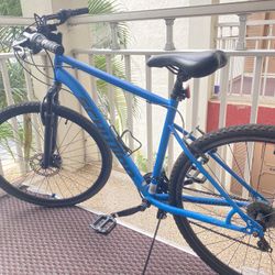 Schwinn copeland 2025