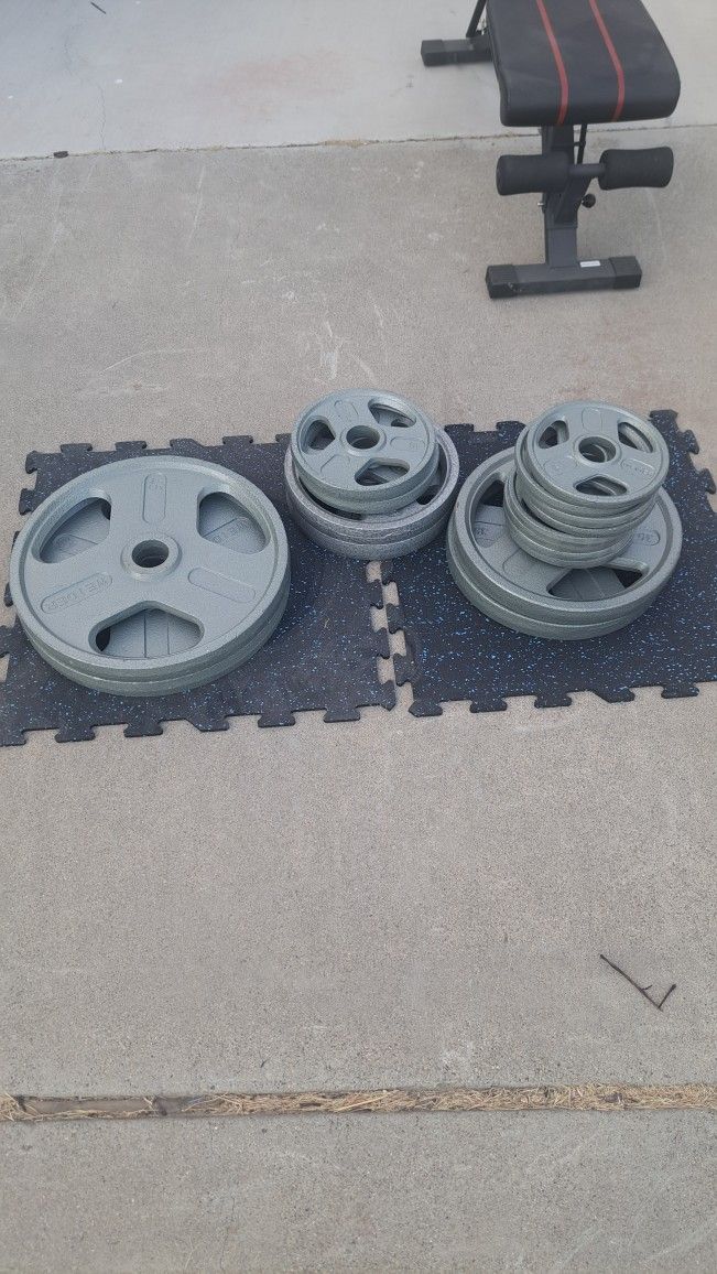 Gym Equipment