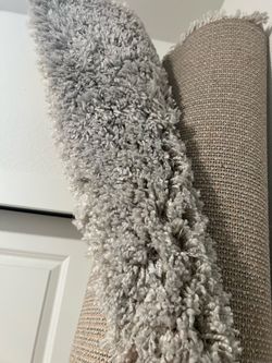 Shaggy Area Rug