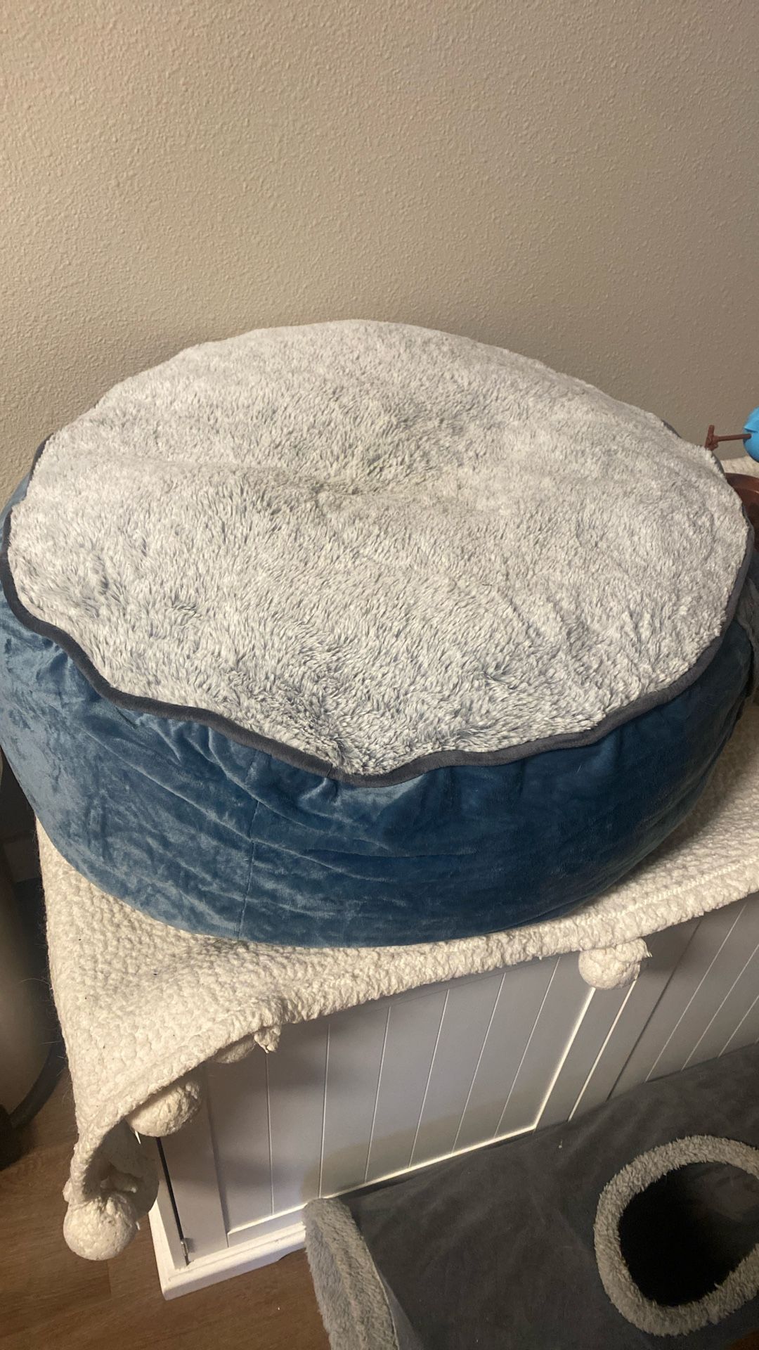 Brand New Pet Bed
