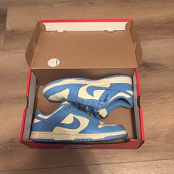 Nike Dunks Low