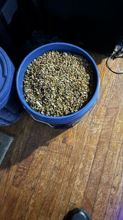 Aquarium Gravel