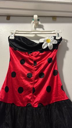 Lady Bug Costume