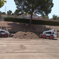 Bobcat & Excavator