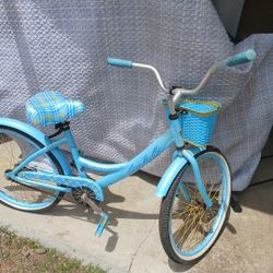 Beach Cruiser