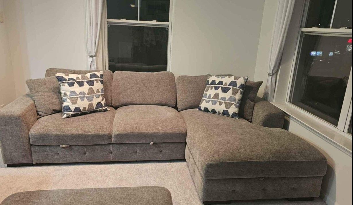 Like-New Sleeper Sofa
