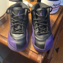 Jordan 12 Size 10C