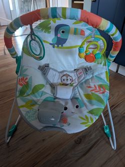 New Baby Bouncer