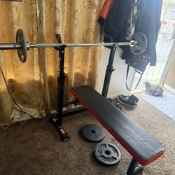 Weights And Bench  