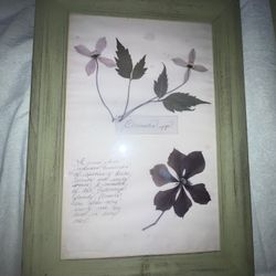Vintage Flower Frames 