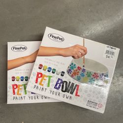 Pet bowl paint your own