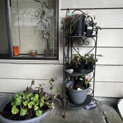 Plant Stand””pending Pick Up🏁