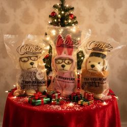 A CHRISTMAS STORY RAISING CANES PLUSH DOG LIMITED EDITION BRAND NEW SET OF 3